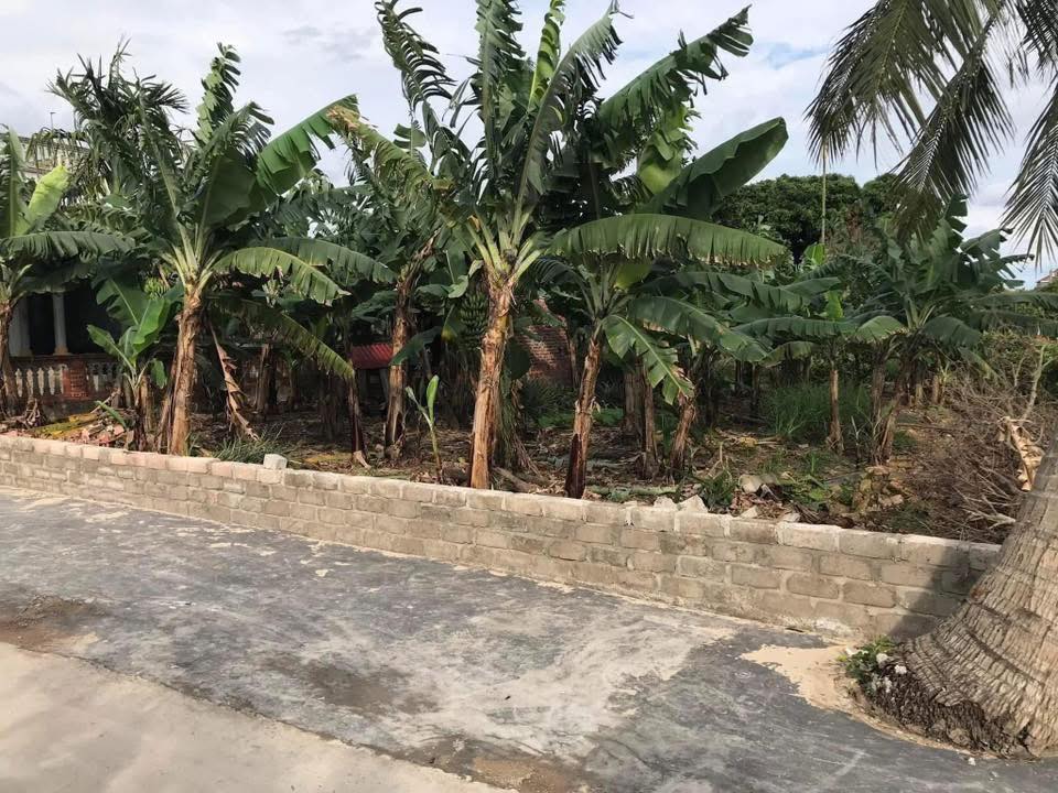 Đất nền An Sinh Đông Triều 190m² - Sổ đỏ chính chủ!