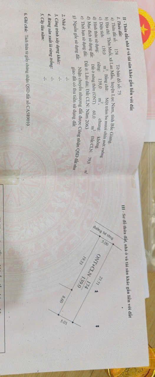 Đất nền Thôn Muối, Lục Nam 139m² - Tiềm năng tăng giá vượt trội!