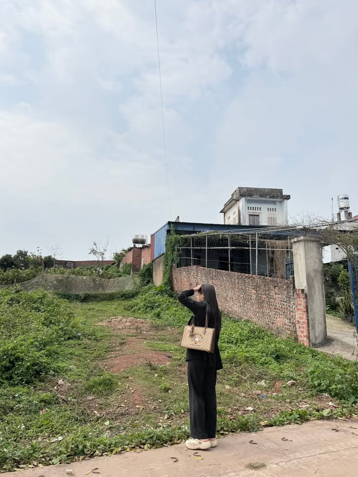 Đất nền Tân Yên 140.3m² - Sổ đỏ chính chủ, Tiềm năng tăng giá!