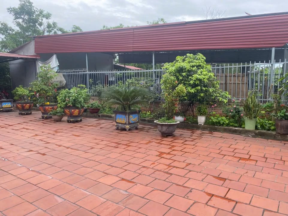 Bán Nhà Vườn 340m² Xã Hoàng Vân, Bắc Giang - Giá Hời Hơn 1 Tỷ