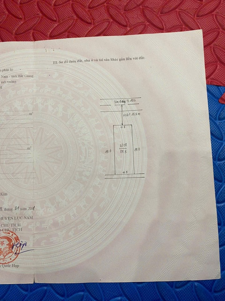 Đất nền Lục Lam 85m² giá 3.25 tỷ - Tiềm năng tăng giá mạnh!