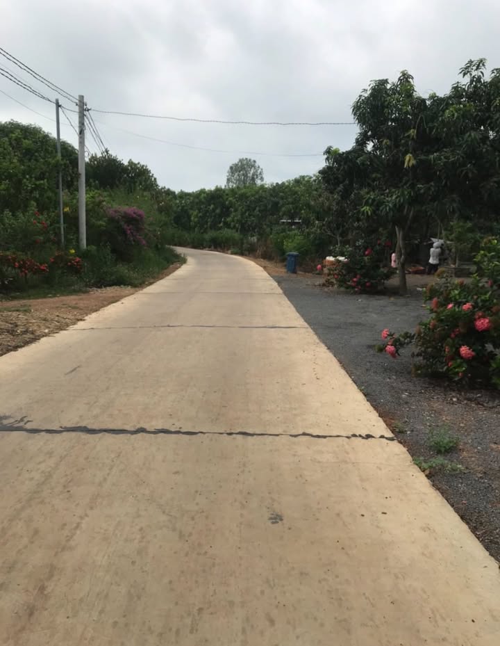 Mặt Tiền Kinh Doanh 50m² Tại QL20 La Ngà - Sẵn Sàng Xây Dựng