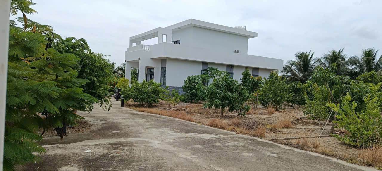 Biệt thự vườn 2899m² Cam Lâm - Vườn trái cây, hồ cá, sẵn sàng đón chủ mới