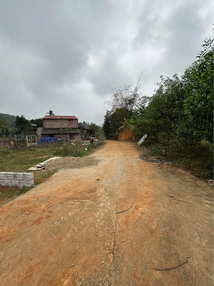 Đất nền Thôn 3 Lưỡng Vượng 115m² - Đường to ô tô vào tận đất!