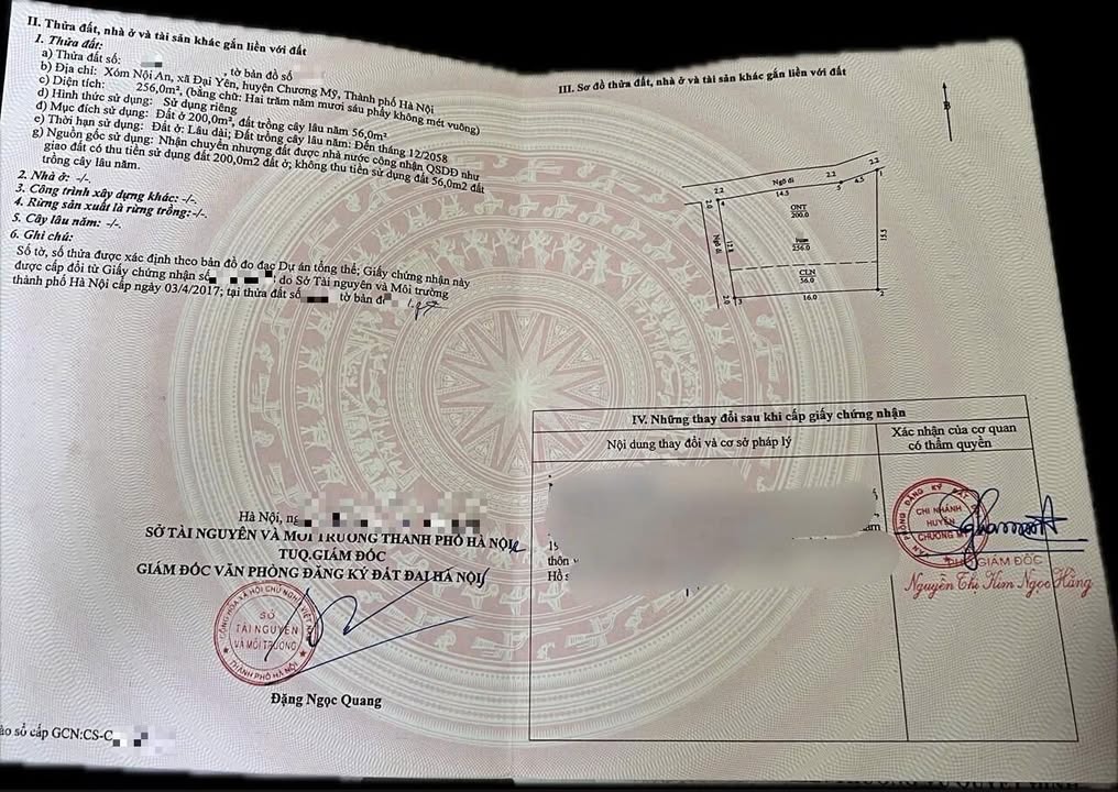 Đất nền 256m² Xã Đại Yên, Chương Mỹ - Lô góc, tiềm năng tăng giá!