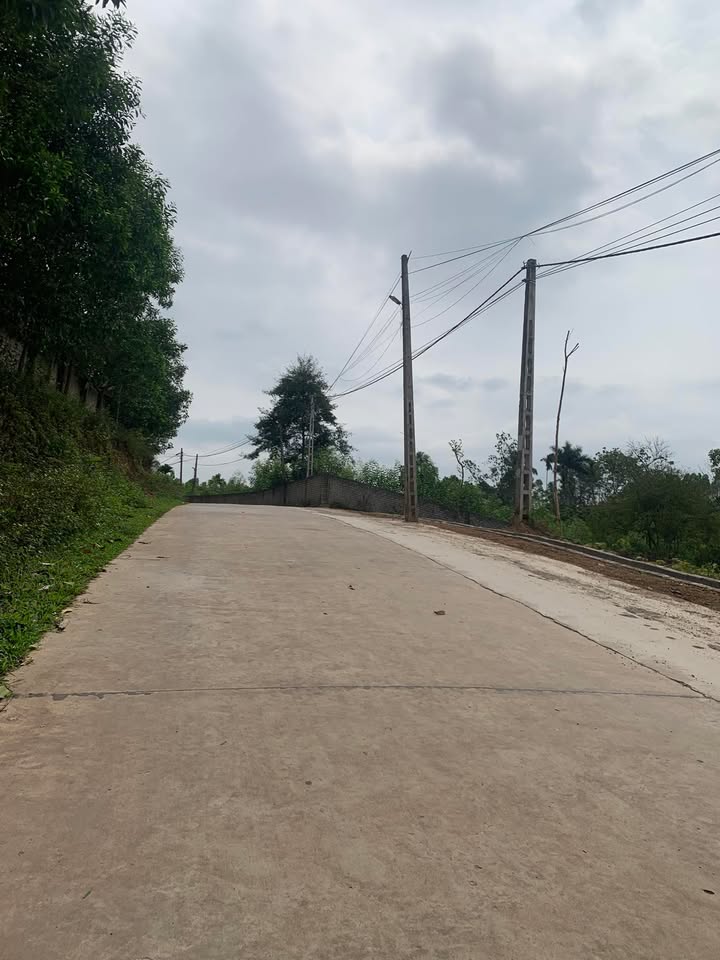 Đất Nền Việt Yên, Bắc Giang - Mặt Tiền Đường Container, Giá F0 Chỉ Từ 6xx Triệu