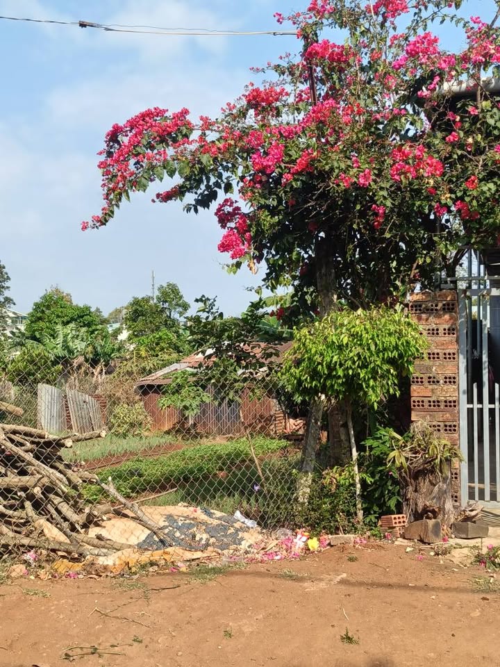 Đất nền Dã Tượng Pleiku 210m² giá 12.6 tỷ - Đất thổ cư 100%