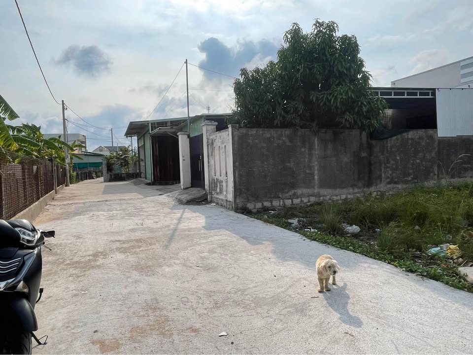 Đất nền Phước Hưng, Long Điền 180m² - Sổ đỏ chính chủ, công chứng liền!