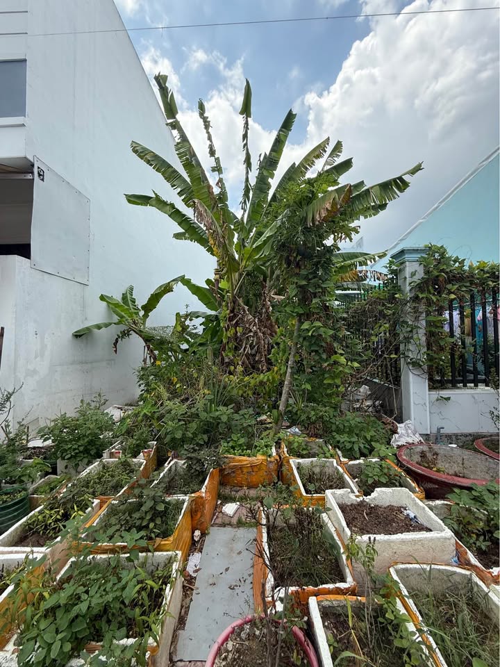 Đất nền Cà Mau 75m² đường Bùi Hữu My - Sổ hồng thổ cư 100%, giá đầu tư