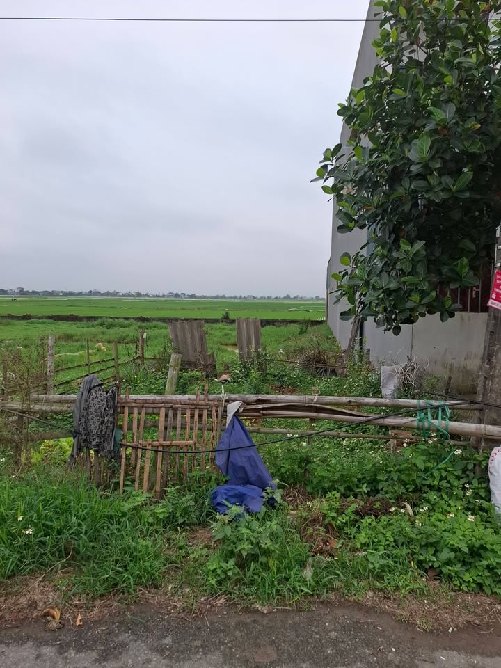 Đất nền Đông Hưng, Thái Bình 100m² - Sổ đỏ chính chủ, 1.7 tỷ