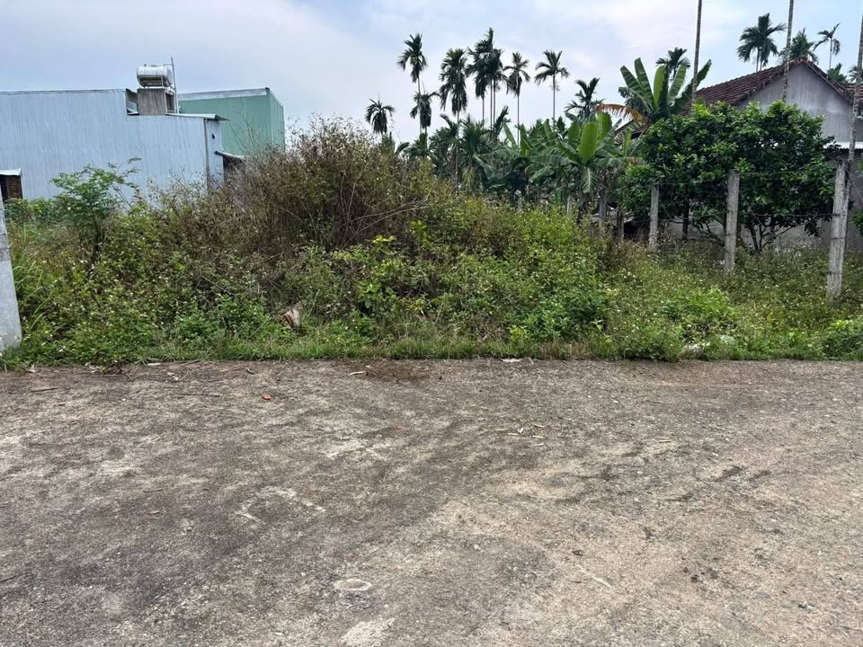 Bán Đất Nền Thổ Cư 350m² Xã Đình Cương, Đức Phổ - Sổ Đỏ Rõ Ràng, Giá 779 Triệu