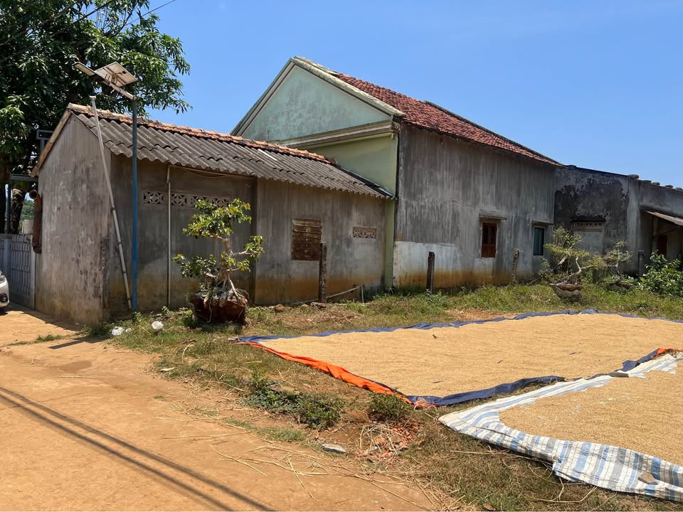 Đất nền Bình Châu, Quảng Ngãi 80m² - Sổ đỏ chính chủ, giá tốt!