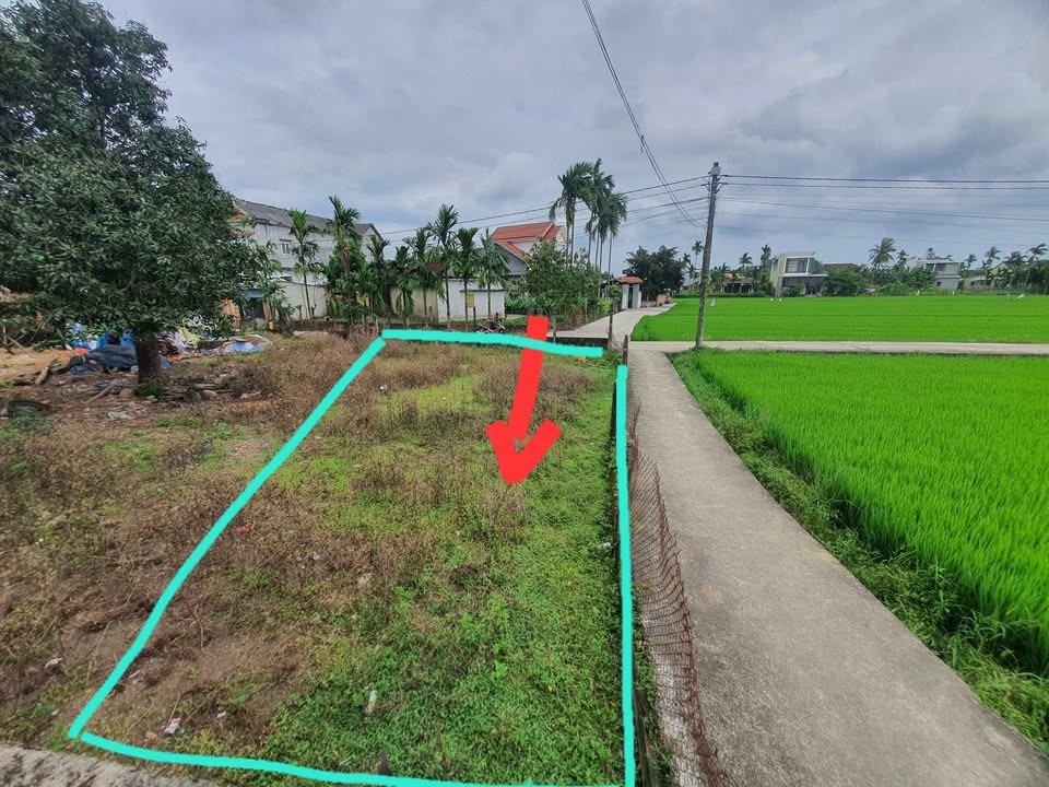 Đất Nền 2 Mặt Tiền Tịnh Phong, Quảng Ngãi - View Cánh Đồng Lúa 111m² Giá 6xx Triệu
