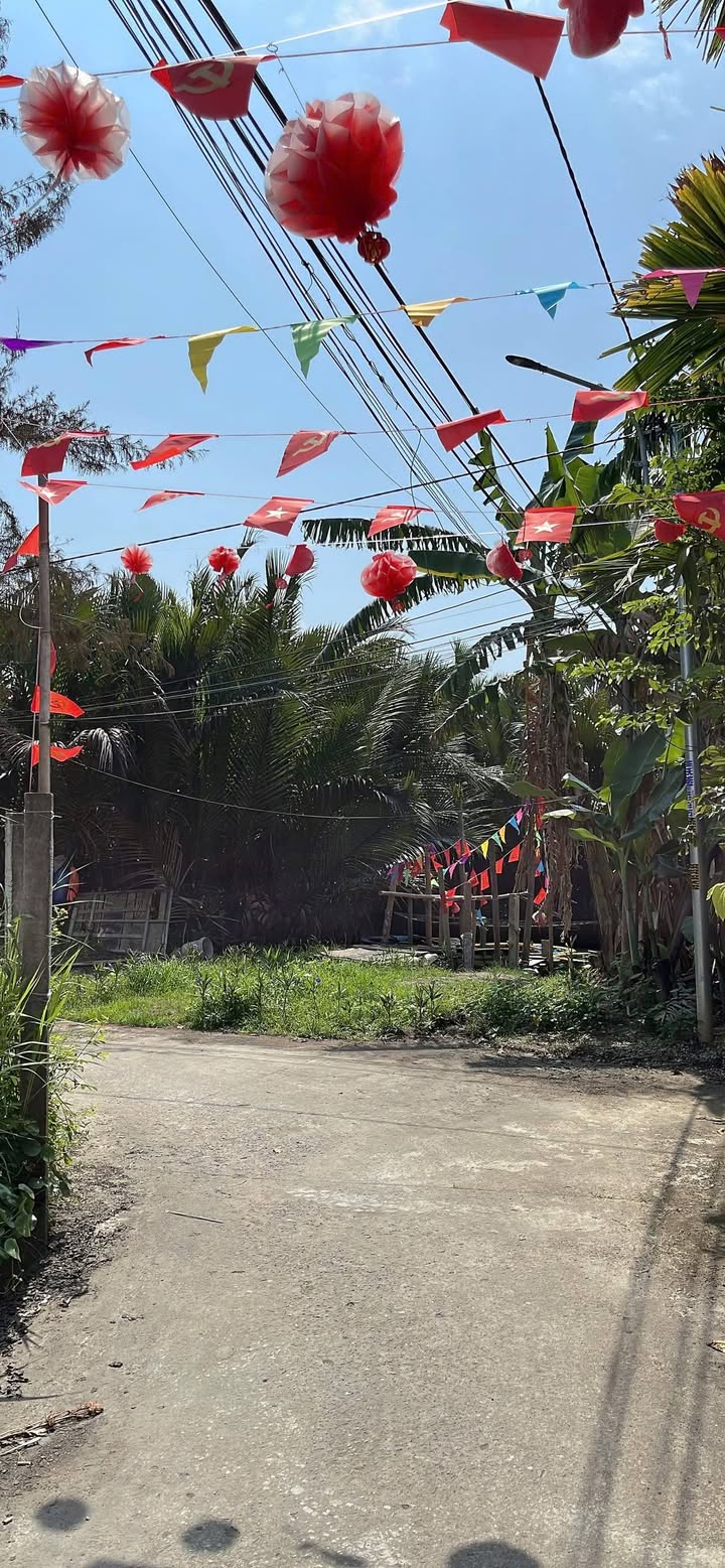 Lô Đất Cẩm Thanh Hội An 85m² - Sổ đỏ chính chủ