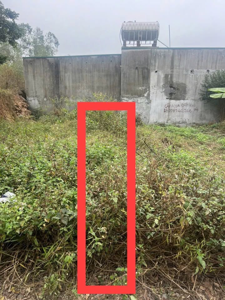 Đất nền Lãm Trại, Vân Dương 70.5m² giá 1.x tỷ - Đất thổ cư 100%