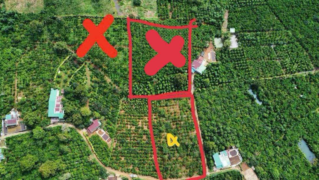 Đất nền Lộc An Bảo Lâm 2935m² - Tiềm năng tăng giá vượt trội!