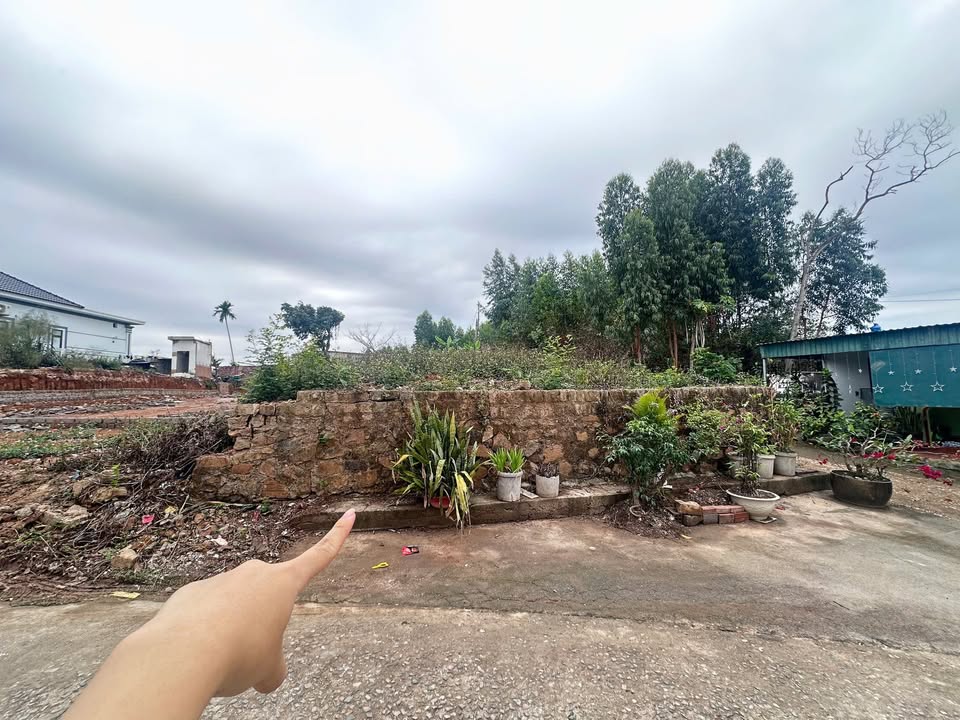 Đất nền Quảng Yên 220m² – Sổ đỏ chính chủ, đường ô tô!