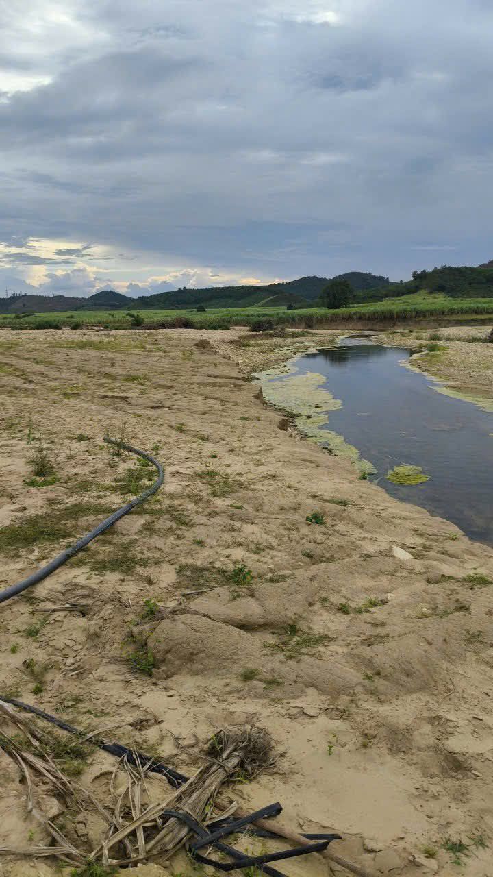 Đất nền Thôn Suối Cau 1.4ha Phú Yên - Giáp suối, sổ đỏ chính chủ!