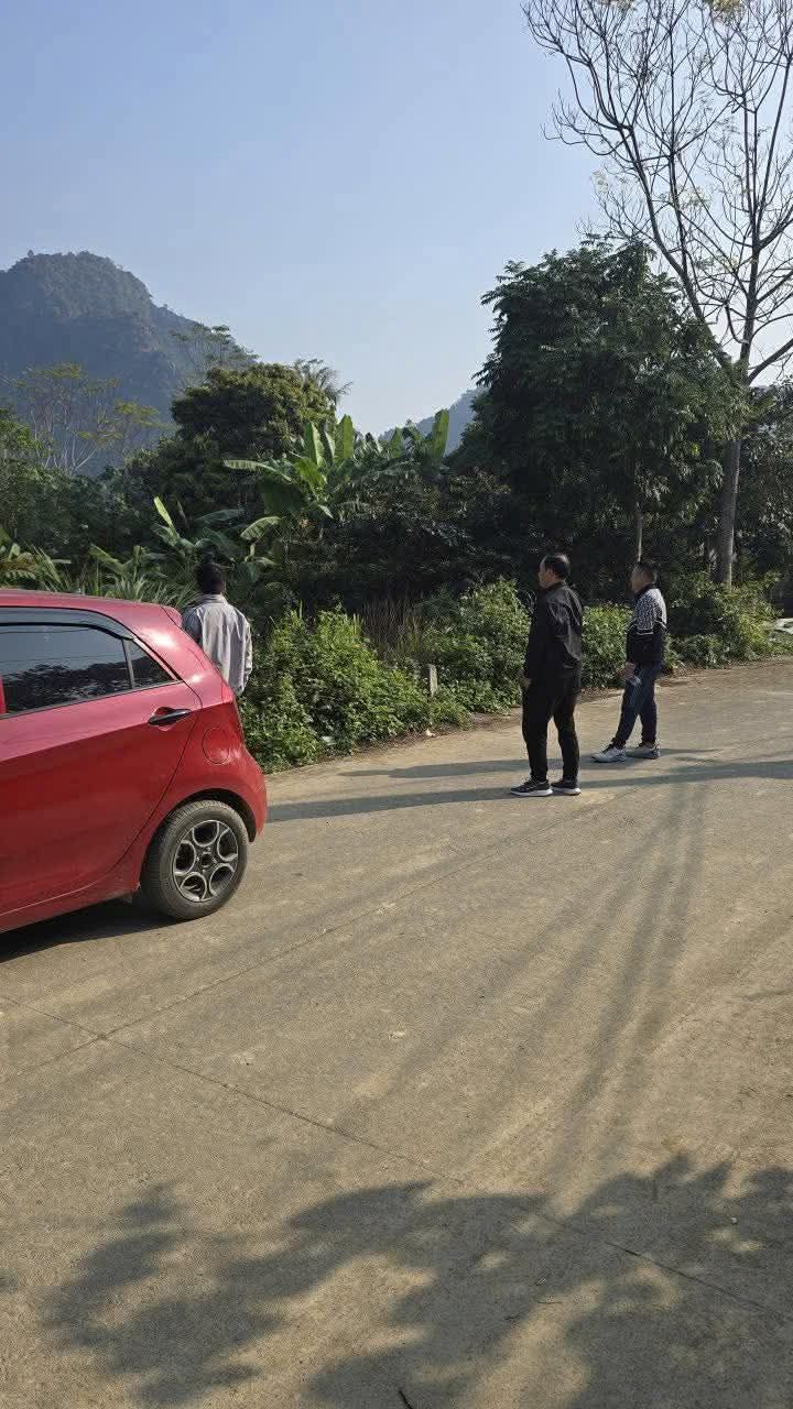 Đất nền Gia Lâm, Nho Quan 123m² giá chỉ từ 500 triệu - Sổ đỏ chính chủ!