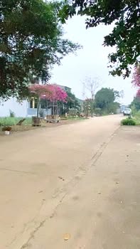 Đất nền Tổ 7 Tây Sơn, Tam Điệp 100m² - Đường to ô tô