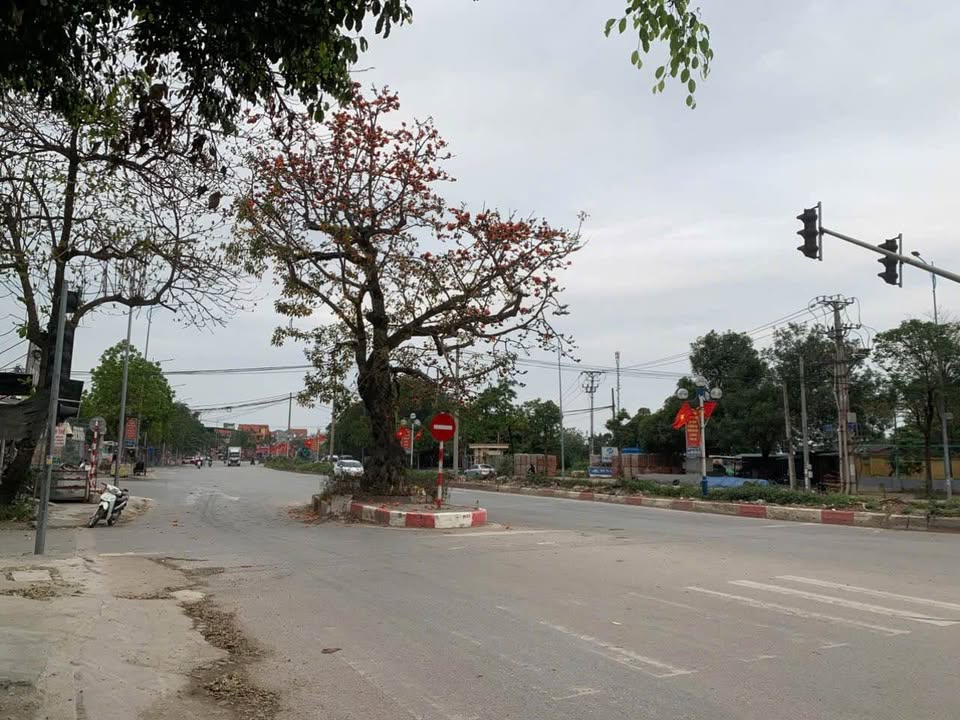 Nhà trọ Thạch Thất 116m² - Dòng tiền ổn định, gần Cầu Thượng Cát