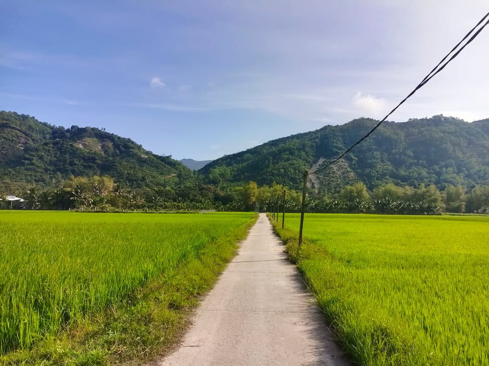 Đất Vườn Cam Lâm - 3255m² Mặt Tiền 54m - Giá Đầu Tư Tốt