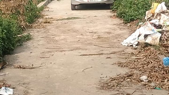 Bán Đất Mê Linh 55m² - Sát Vành Đai 4, Giá 3 Tỷ