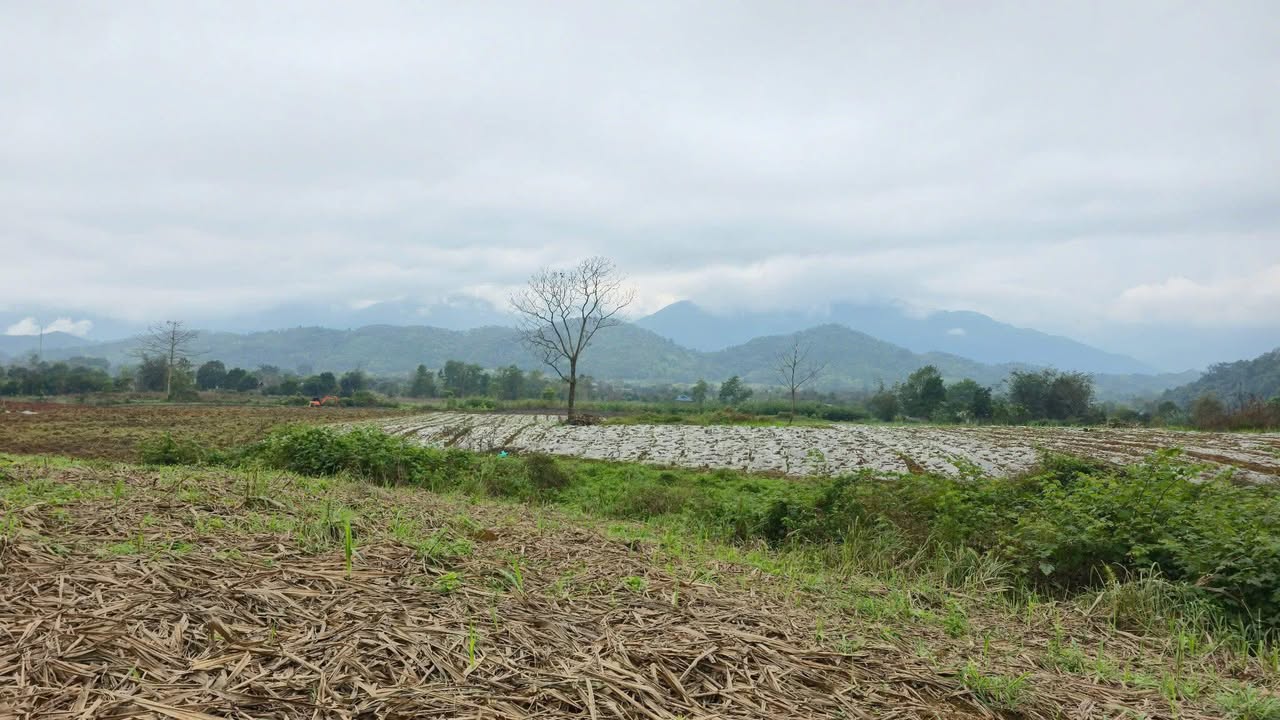 Đất nền Bản Mán, Vị Xuyên 2500m² - View đẹp, thế lưng tựa núi!