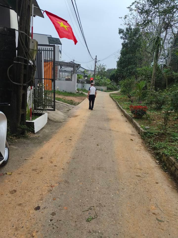 Bán Đất Ỷ La, Tuyên Quang 320m² - Sổ Đỏ Rõ Ràng, Đầu Tư Sinh Lời