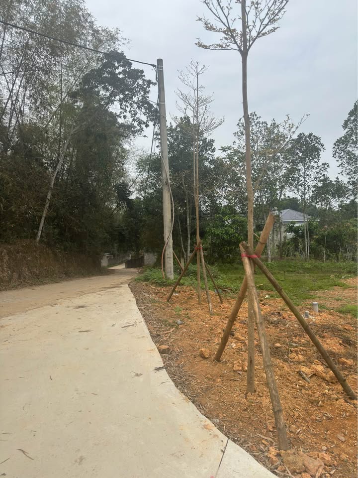 Bán Đất Tuyên Quang 95m² Full Thổ Cư - Gần Đường Quang Trung 900 Triệu