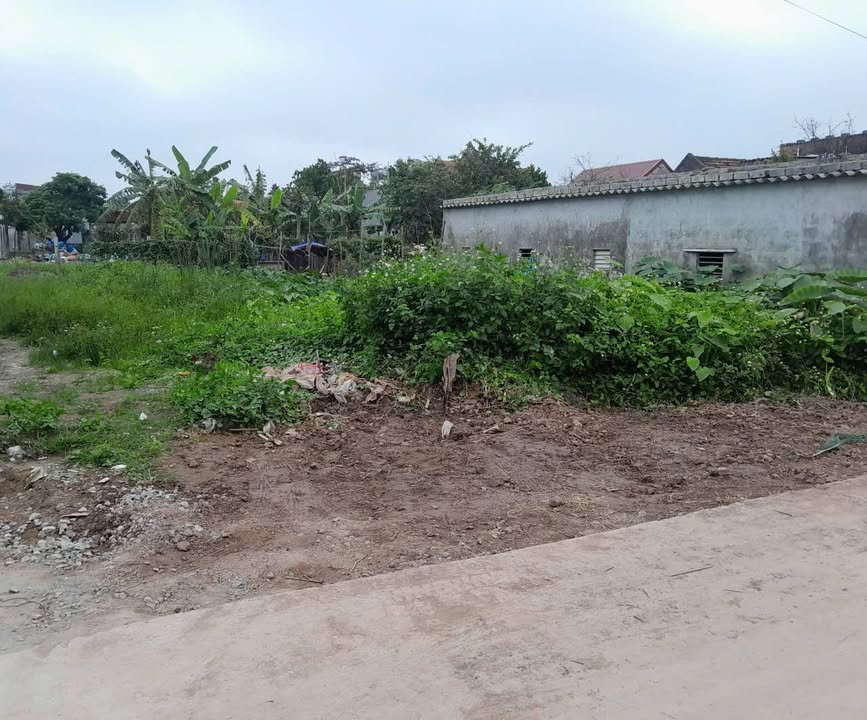 Đất nền Nghĩa Hưng 80m² giá 800 triệu - Sổ đỏ chính chủ!