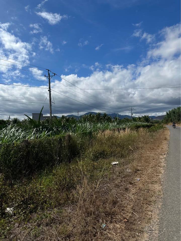 Bán 5000m² đất Hàm Liêm có 2 nhà yến - Thu nhập khủng, sổ đỏ sẵn!