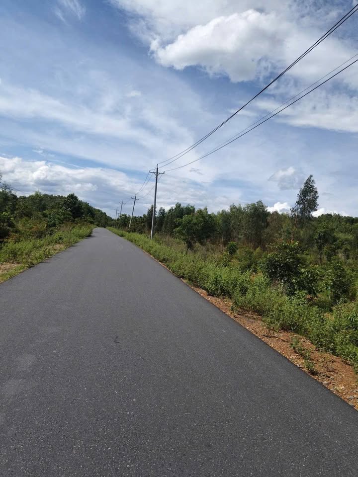 Bán Gấp Đất Vườn 85.000m² Bình Tân, Bình Thuận - Giá Rẻ Hơn Thị Trường 50%