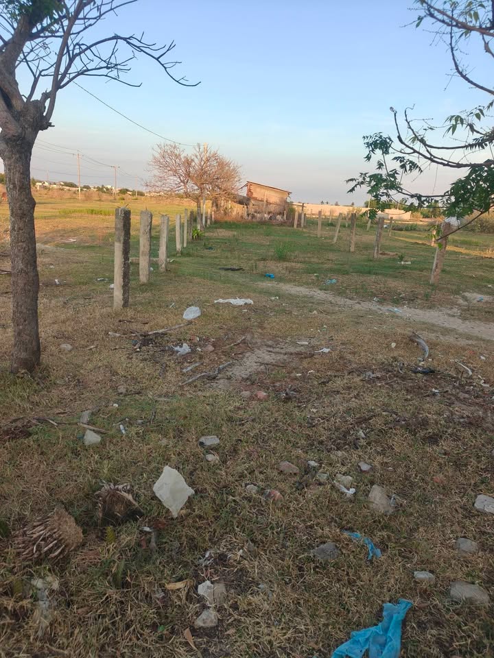 Đất nền Hòa Minh, Tuy Phong 372m² giá 650 triệu - Sổ đỏ chính chủ!