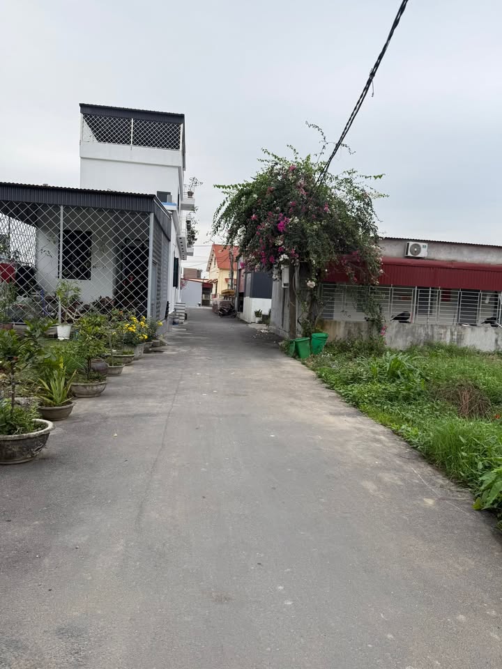 Đất nền Lô góc Tân Linh, Kiến Thụy 86.2m² giá 1.7x tỷ - Sổ hồng chính chủ!