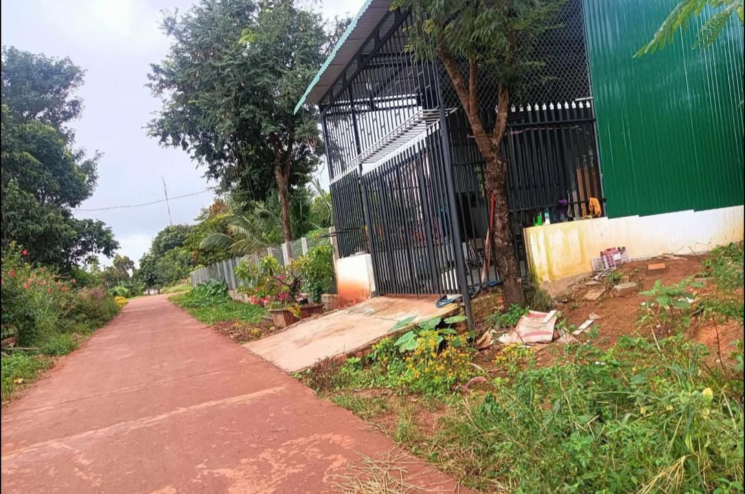 Đất nền Xã Ea Khal, Ea H'leo 111m² - Tiềm năng tăng giá vượt trội!