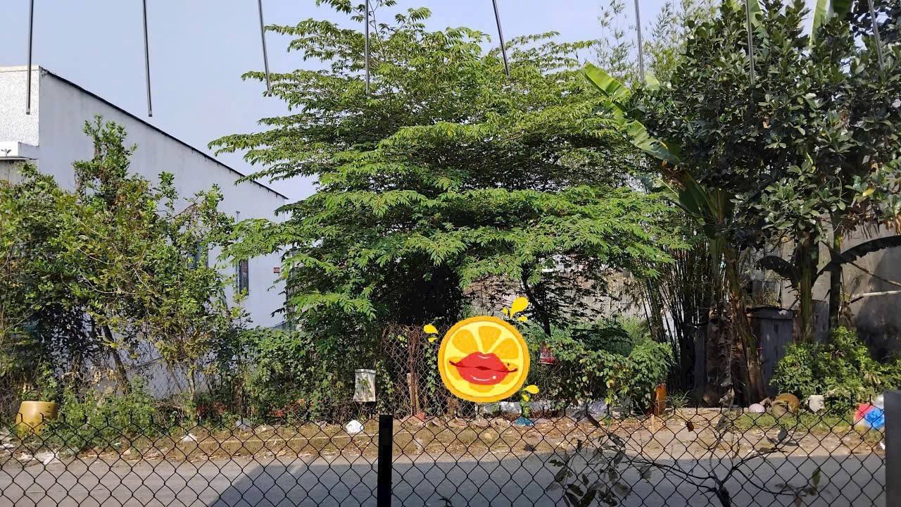 Đất nền sổ đỏ mặt tiền đường nhựa 120m² An Giang - Giá 400 triệu