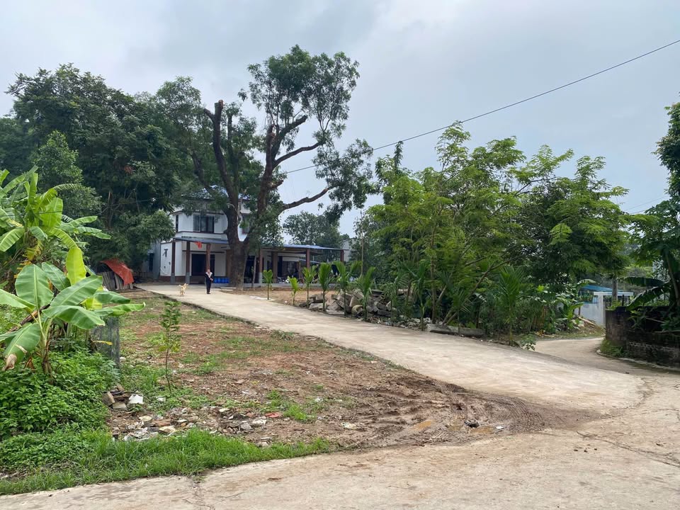 Đất Vàng 101m² Mặt Tiền 5m Phan Đình Phùng, TP. Thái Nguyên - Giá 2 Tỷ