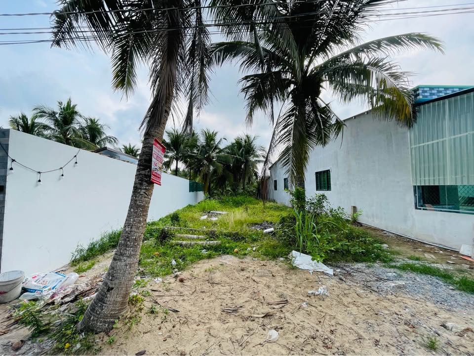 Đất Nền Long Hòa, Chợ Mới - 144m² Thổ Cư, 850 Triệu - Sổ Hồng Sẵn Sàng