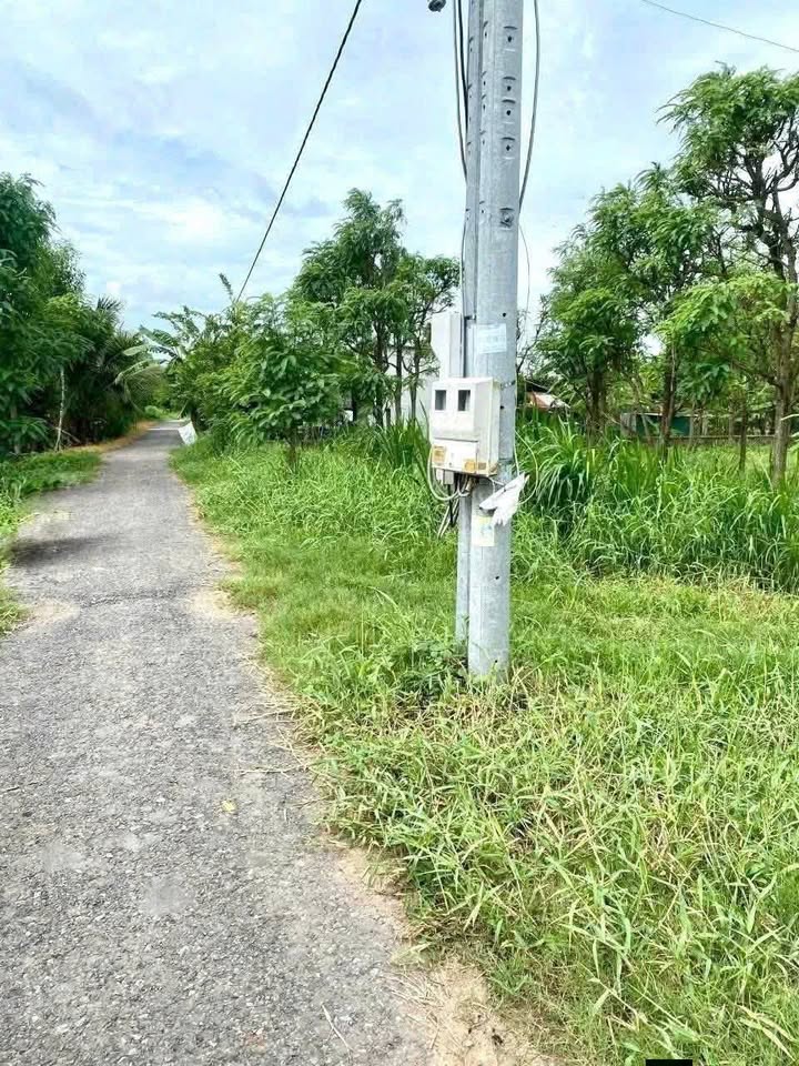 Đất nền Kiêm Liên, Long Hòa, Gò Công 250m² - Sổ hồng chính chủ