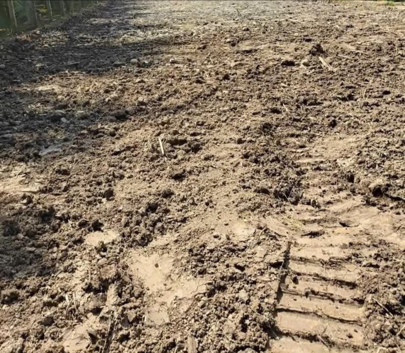 Đất nền Phước Thạnh Gò Công Tây 700m² chỉ 900 triệu - Đường to ô tô!