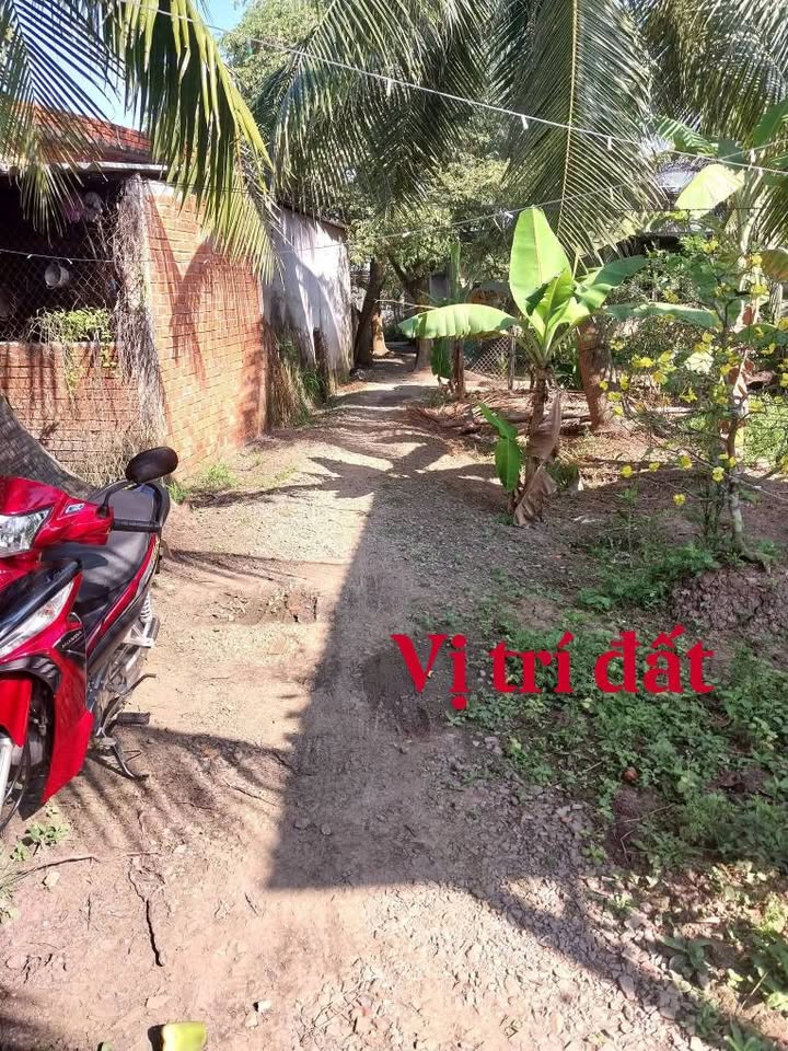 Đất Vườn 1000m² Tặng Nhà Cấp 4 - Xã Thạnh Phú, Tiền Giang Giá 850 Triệu