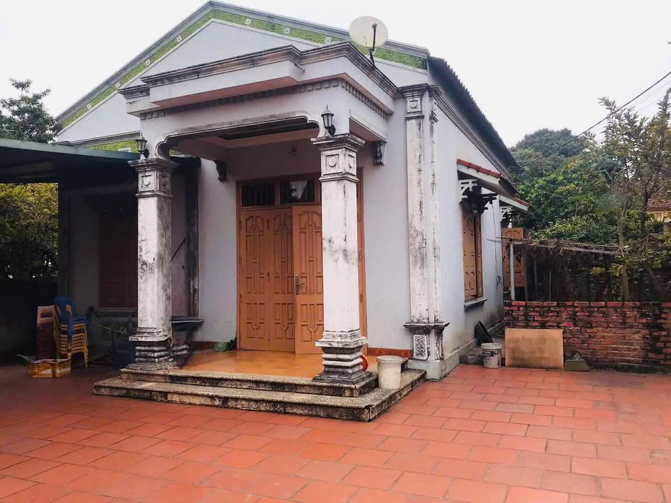 Đất nền Thụy Vân, Việt Trì 245m² - Pháp lý rõ ràng, tặng nhà!