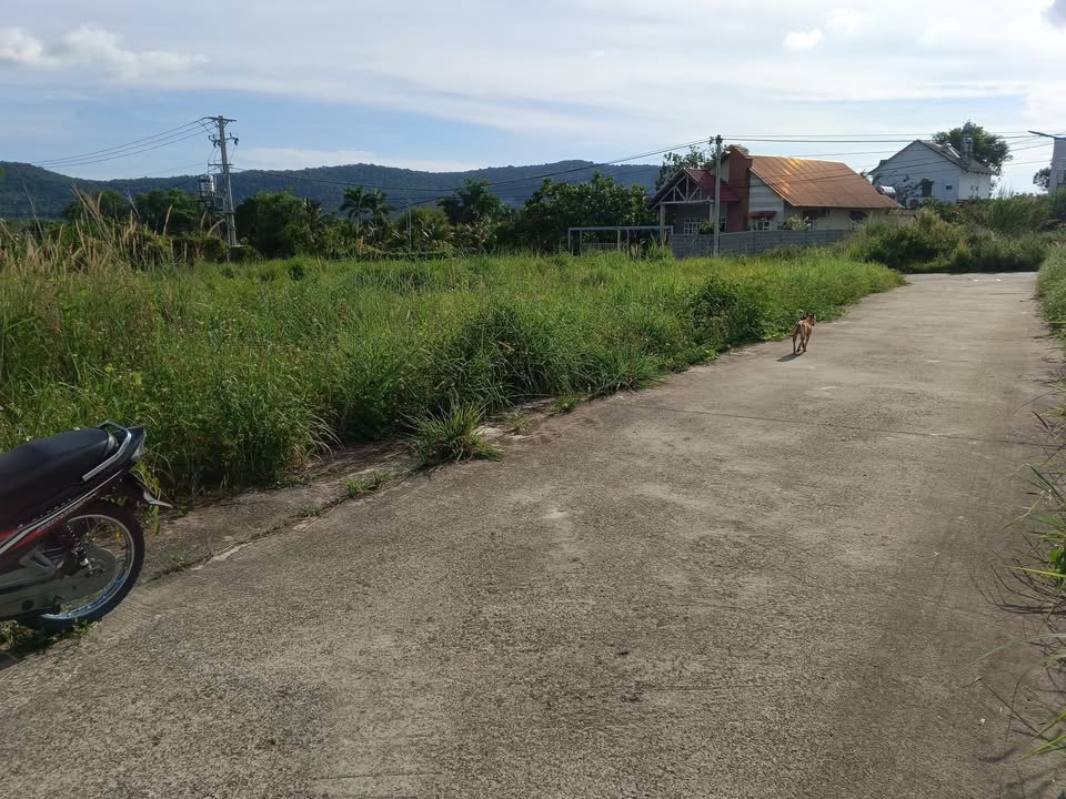 Đất nền Suối Đá Phú Quốc 500m² giá 3 tỷ - Tiềm năng tăng giá vượt trội!