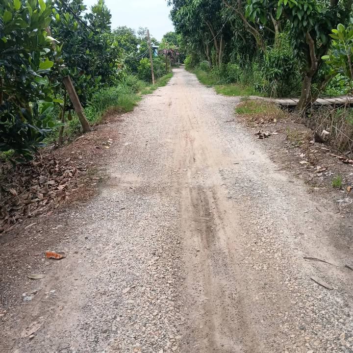 Đất nền Mỹ Đức, Châu Phú 1000m² - Tiềm năng tăng giá vượt trội!