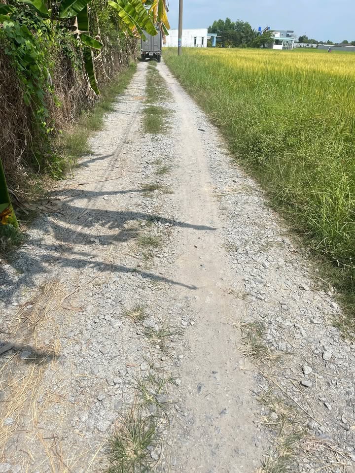 Đất nền 110m² sổ hồng sẵn, Đức Hòa giá chỉ 620 triệu