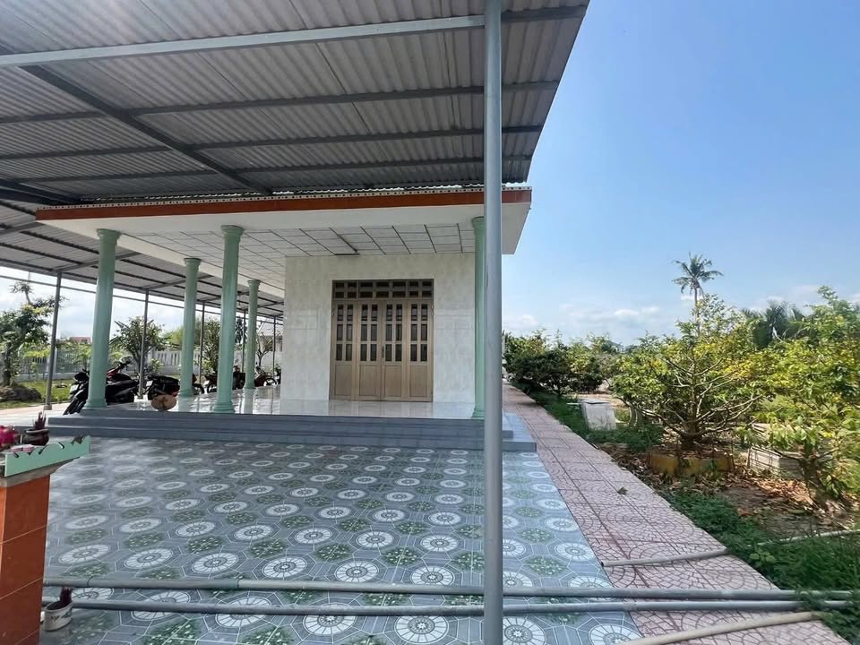 Bán Gấp Nhà Vườn 2500m² Lạc Tấn, Long An - Tặng Vườn Mai Lung Linh