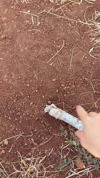 Đất nền Ea Ral 2880m² - Sổ đỏ chính chủ, đường ô tô tận nơi!