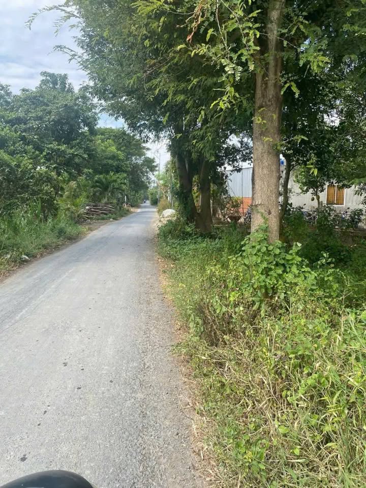 Nhà Phố Châu Đốc 154m² - Đầu tư sinh lời ngay!