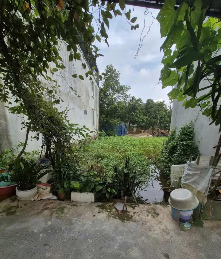 Đất Nền Thanh Trì 50m² - Ô Tô Vào Tận Đất, Giá Nhỉnh 3 Tỷ